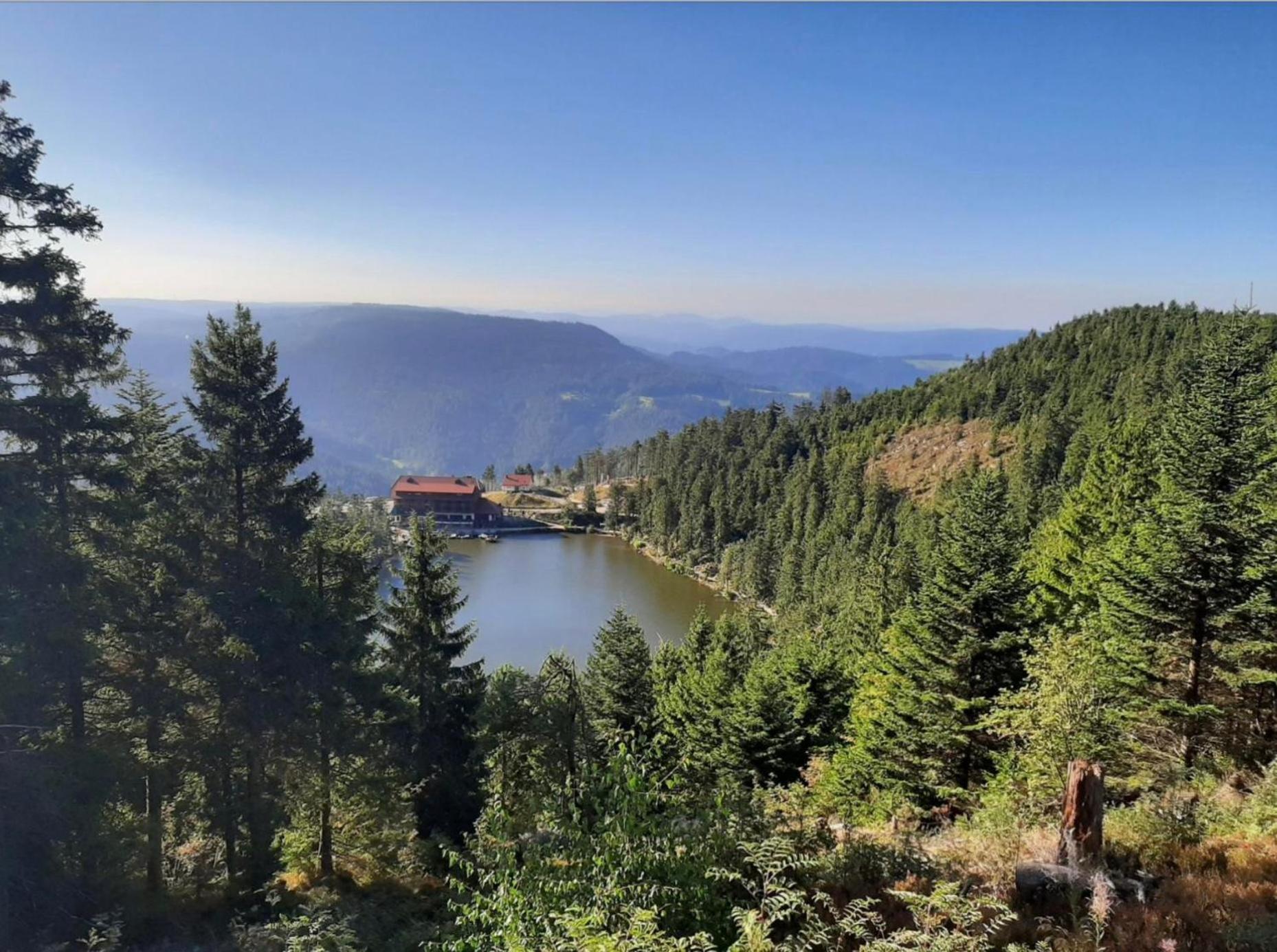Ferienwohnung Schwarzwald Tannenzaepfle Байерсброн Екстериор снимка