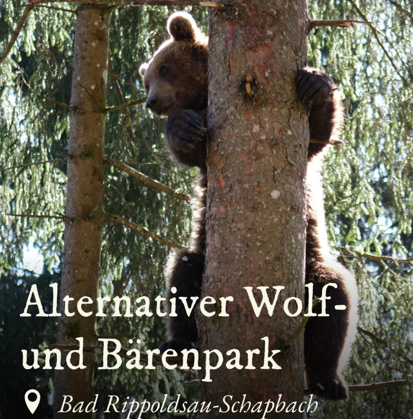Ferienwohnung Schwarzwald Tannenzaepfle Байерсброн Екстериор снимка